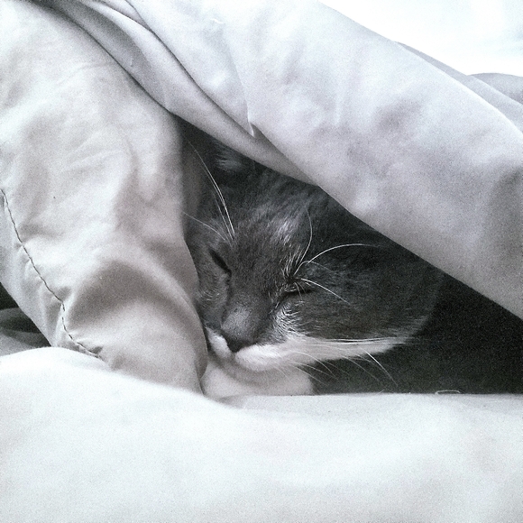 Meet your Posher, Vic - Picture 3 of 4